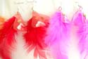 Fish hook fashion earring with one color soft feather and special design on top, randomly pick by warehouse staffs