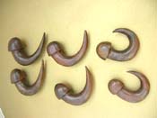 Wooden taper earring